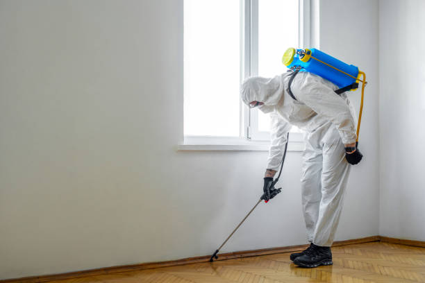Best Affordable Pest Control Services  in Two Rivers, WI