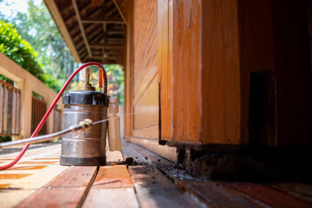 Best Pest Prevention Services  in Two Rivers, WI