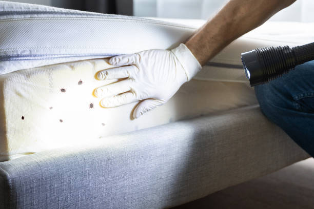 Best Mosquito Control Services  in Two Rivers, WI