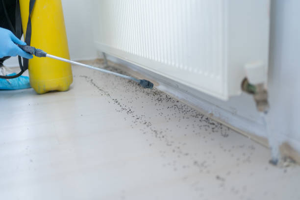 Best Termite Control Services  in Two Rivers, WI
