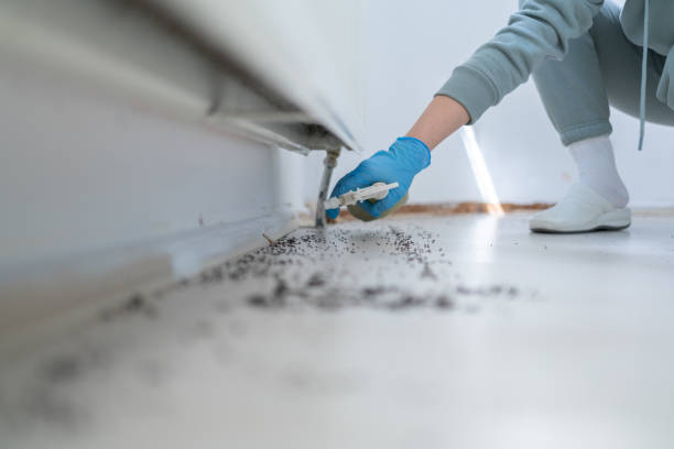 Professional Pest Control in Two Rivers, WI